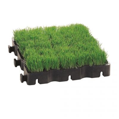 Ecovegetal GREEN - Parking perméable engazonné